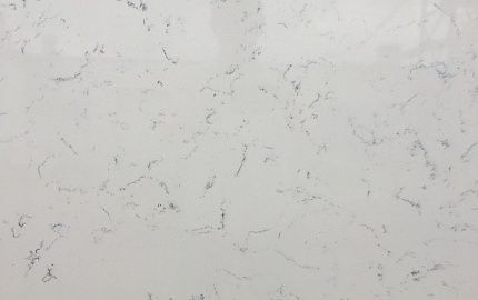 1401 Carrara White