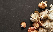 CaesarStone примет участие в выставке MosBuild 2013