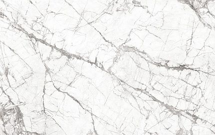 Invisible White